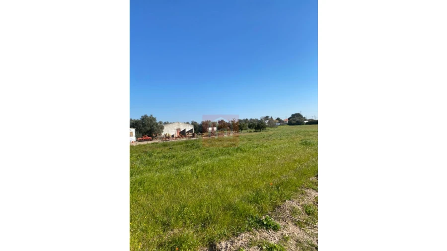 Terreno para Venda em São Francisco Foto 11