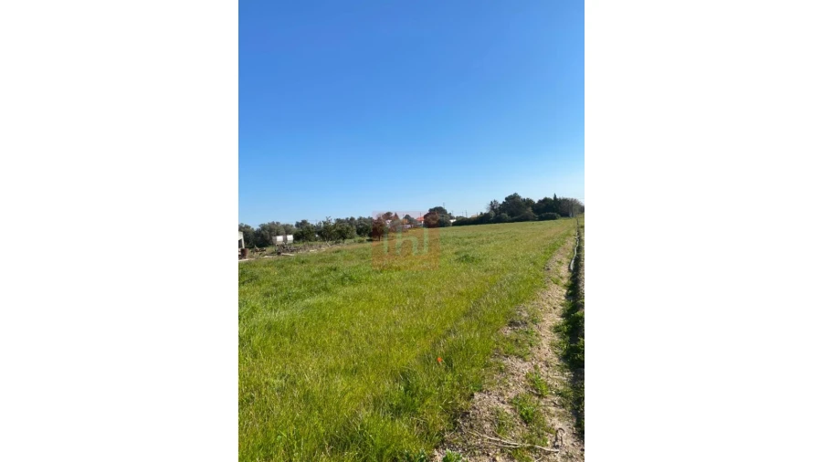 Terreno para Venda em São Francisco Foto 12