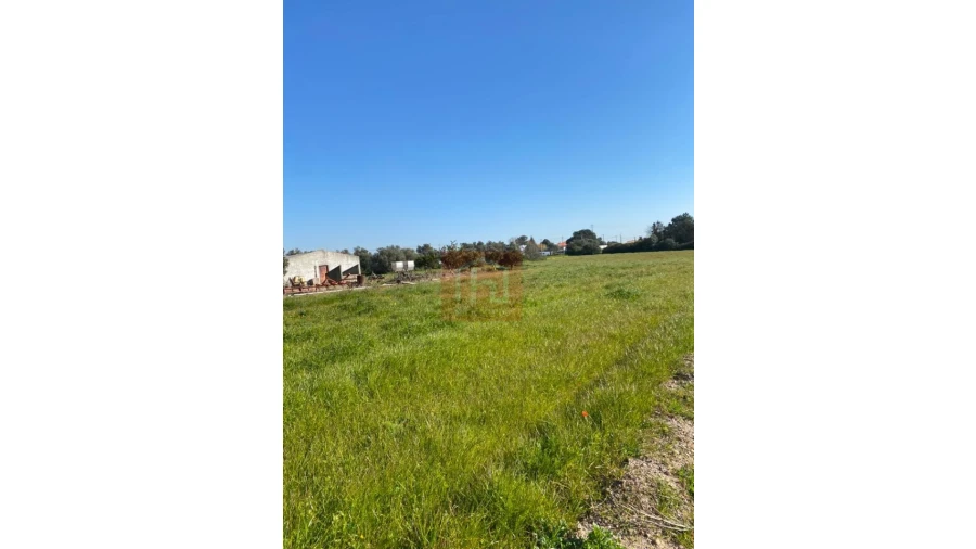 Terreno para Venda em São Francisco Foto 13