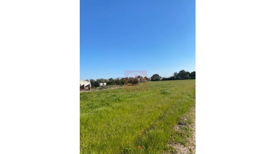 Terreno para Venda em São Francisco Foto 14