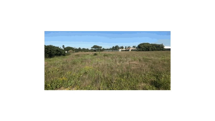 Terreno Agricola ou Rústico para Venda em Salvaterra de Magos e Foros de Salvaterra Foto 4