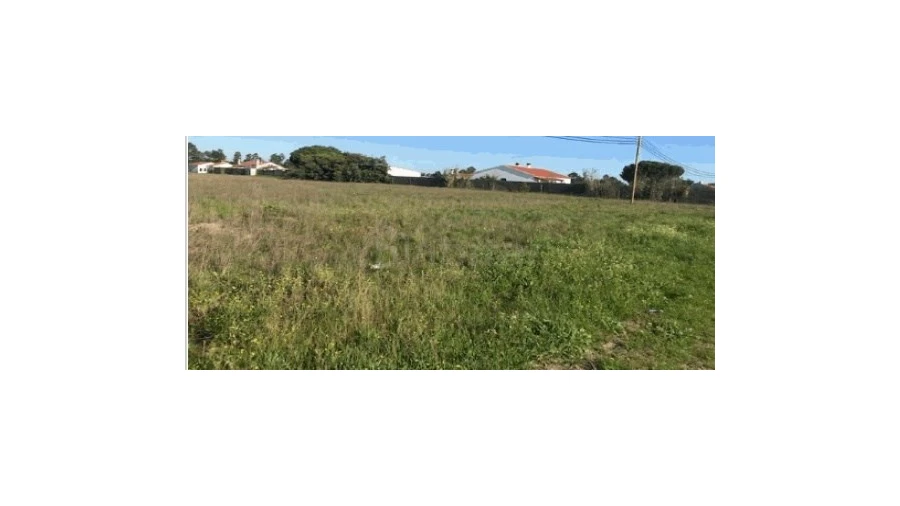 Terreno Agricola ou Rústico para Venda em Salvaterra de Magos e Foros de Salvaterra Foto 5