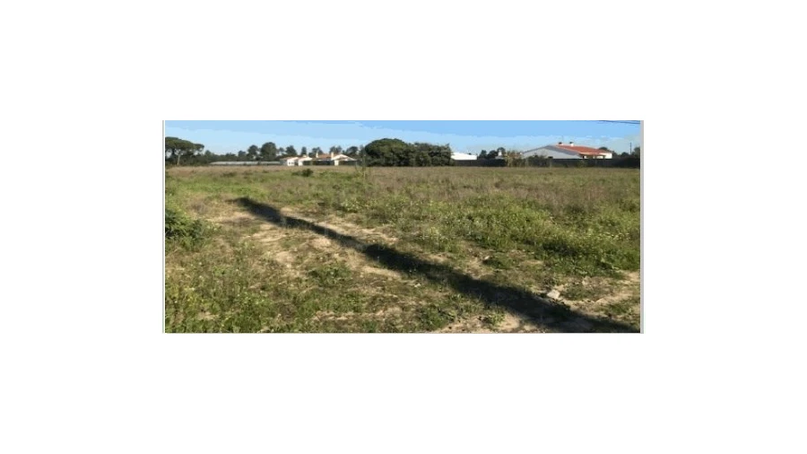 Terreno Agricola ou Rústico para Venda em Salvaterra de Magos e Foros de Salvaterra Foto 6