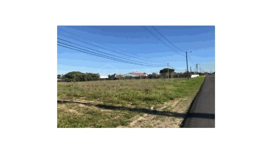 Terreno Agricola ou Rústico para Venda em Salvaterra de Magos e Foros de Salvaterra Foto 7