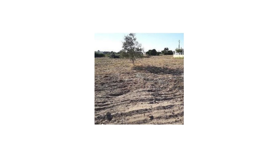 Terreno Agricola ou Rústico para Venda em Marinhais Foto 2