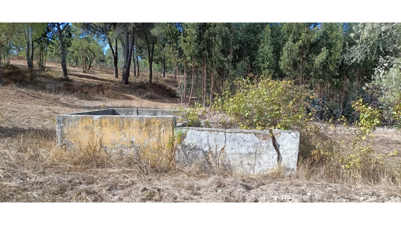 Terreno para Venda em Couço Foto 5