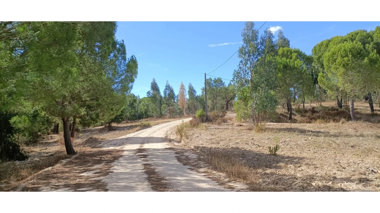 Terreno para Venda em Couço Foto 7