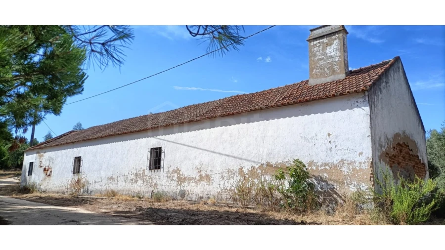 Terreno para Venda em Couço Foto 1
