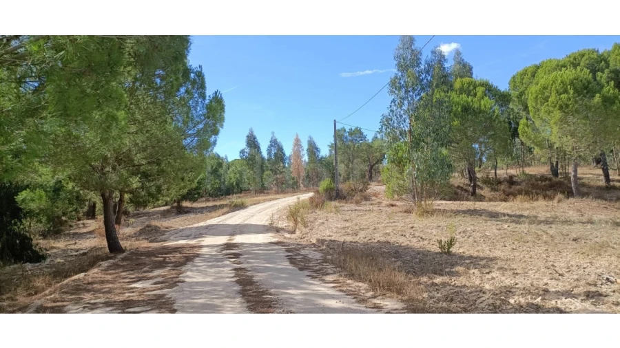 Terreno para Venda em Couço Foto 7