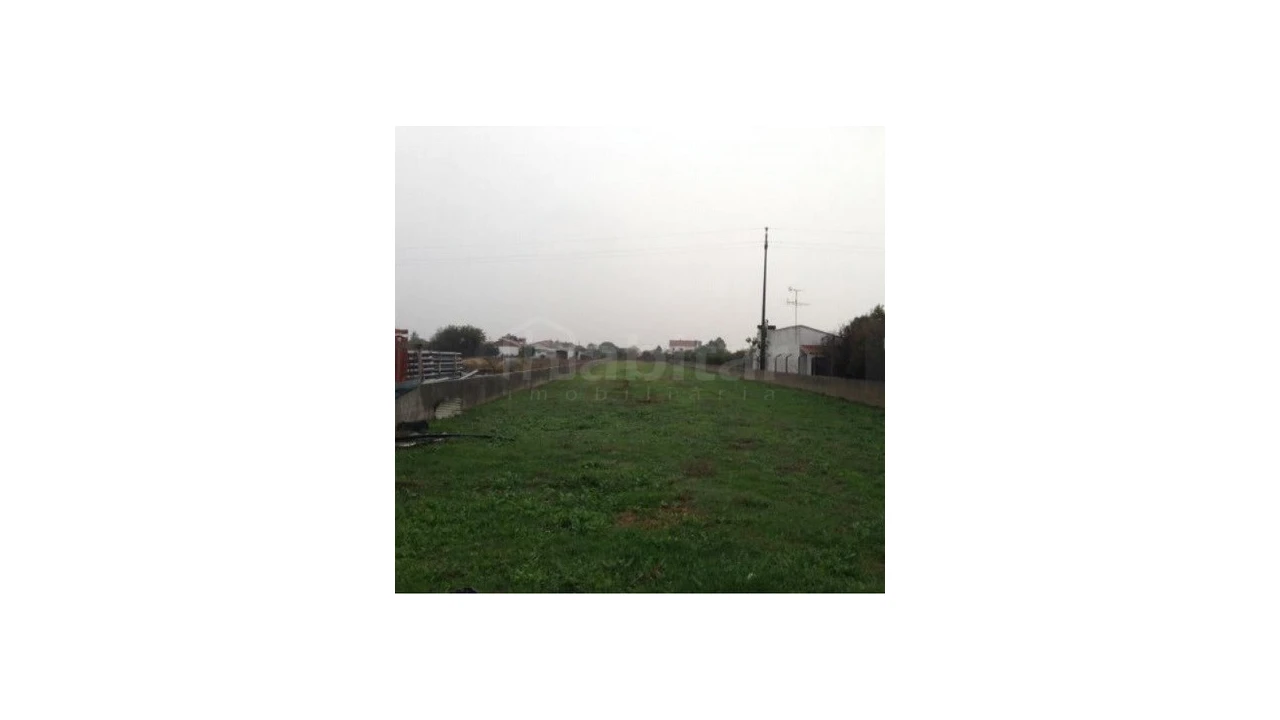 Terreno Agricola ou Rústico para Venda em Marinhais Foto 1