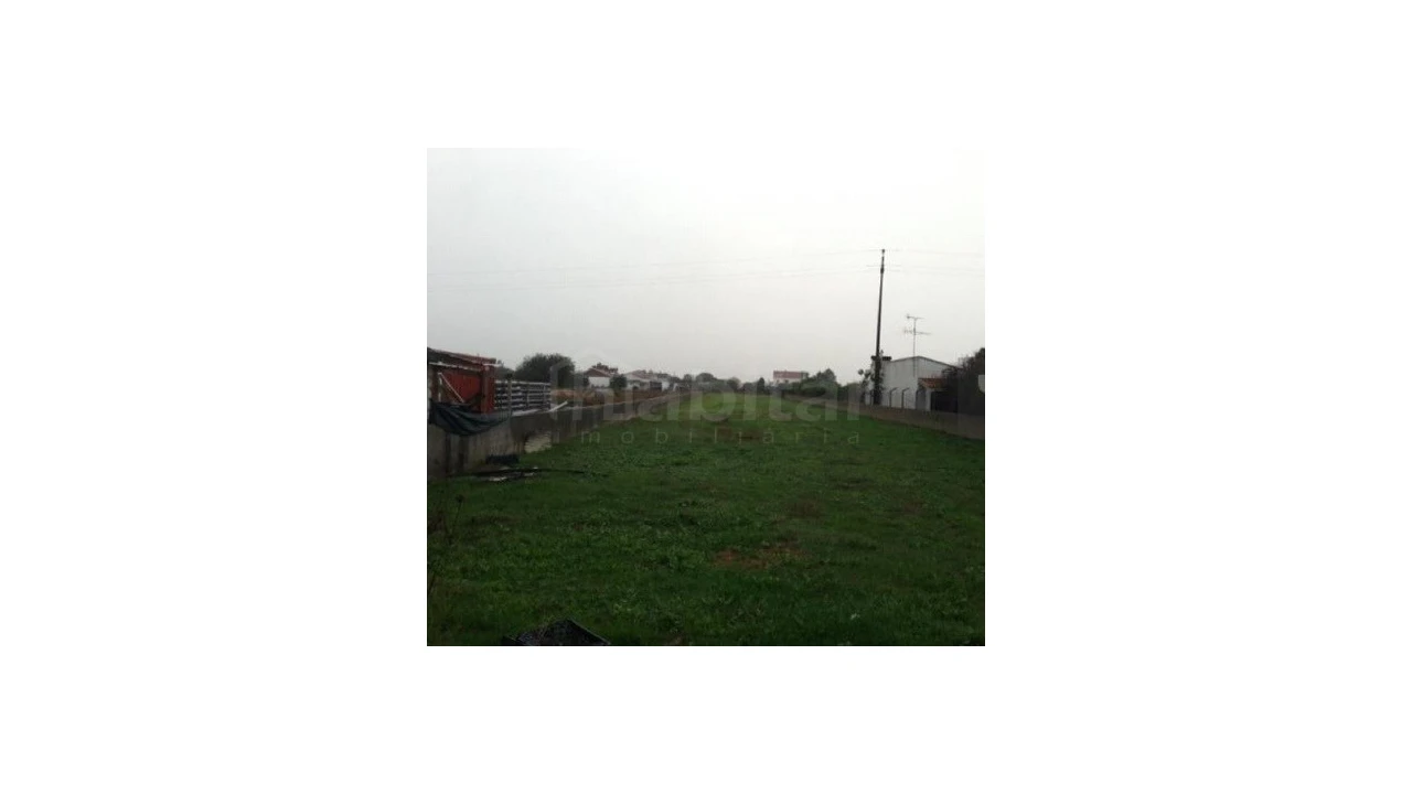 Terreno Agricola ou Rústico para Venda em Marinhais Foto 2