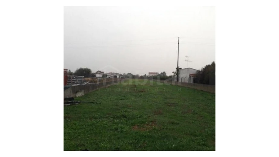 Terreno Agricola ou Rústico para Venda em Marinhais