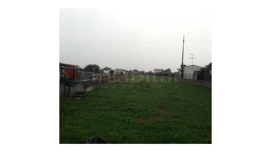 Terreno Agricola ou Rústico para Venda em Marinhais Foto 2