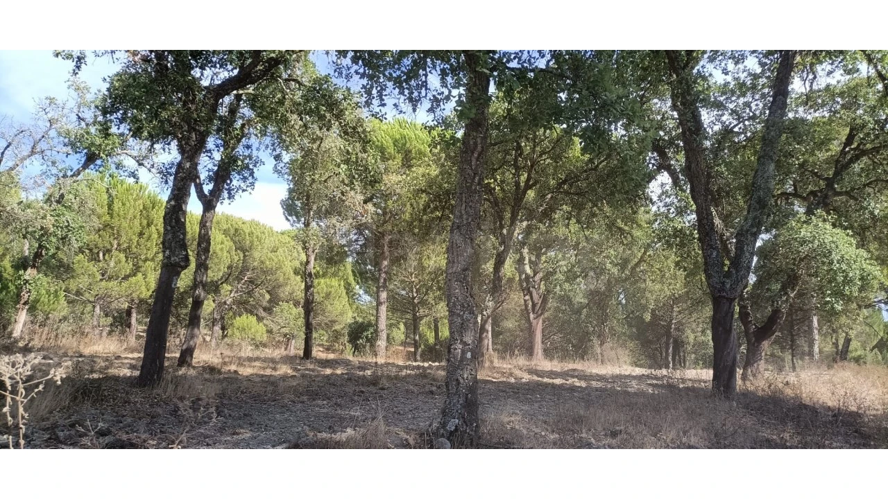 Moradia para Venda em Couço Foto 11