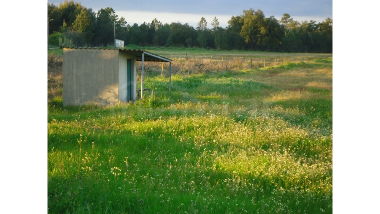 Terreno Agricola ou Rústico para Venda em Salvaterra de Magos e Foros de Salvaterra Foto 3