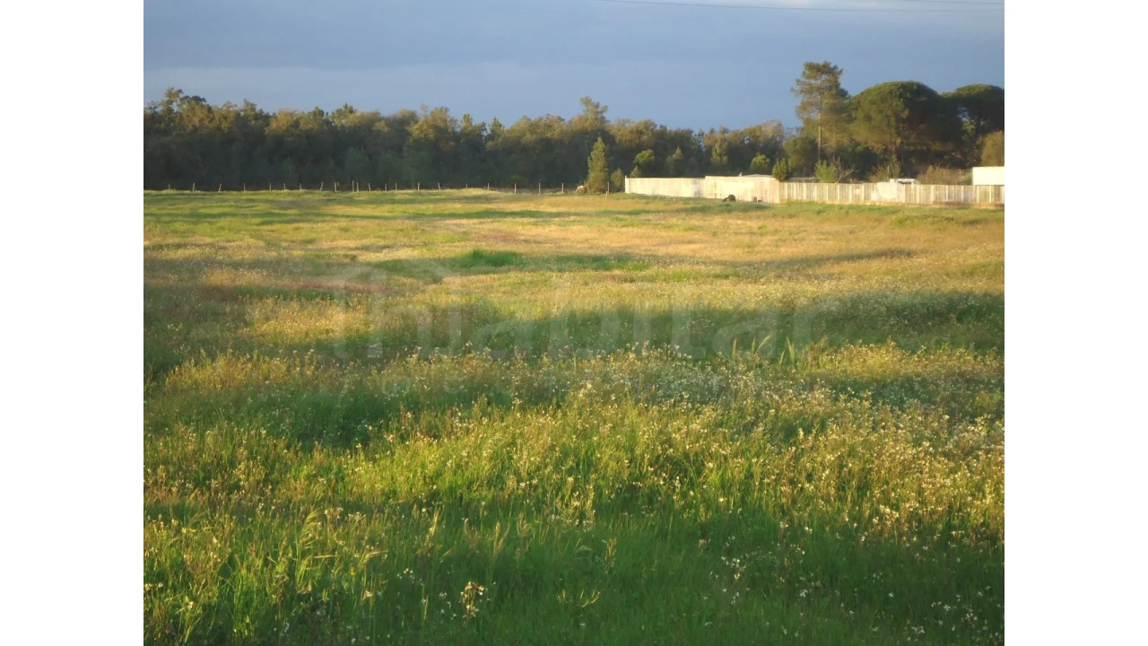 Terreno Agricola ou Rústico para Venda em Salvaterra de Magos e Foros de Salvaterra Foto 4