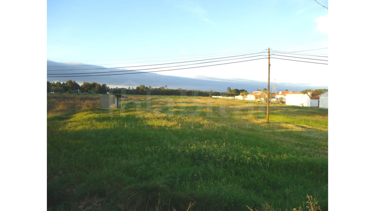 Terreno Agricola ou Rústico para Venda em Salvaterra de Magos e Foros de Salvaterra Foto 5