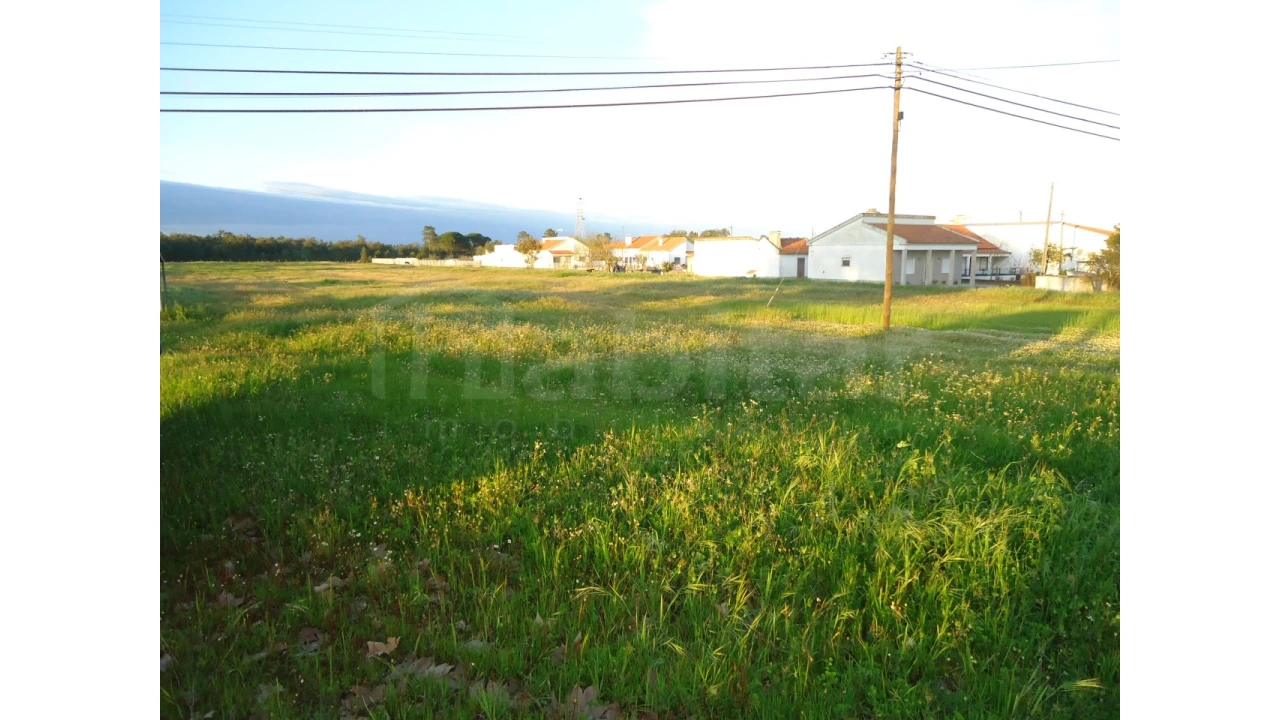 Terreno Agricola ou Rústico para Venda em Salvaterra de Magos e Foros de Salvaterra Foto 6