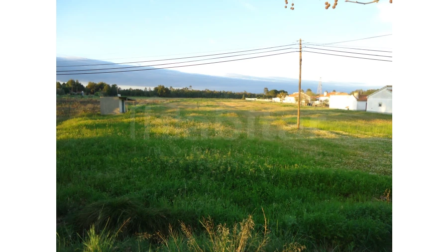 Terreno Agricola ou Rústico para Venda em Salvaterra de Magos e Foros de Salvaterra Foto 2