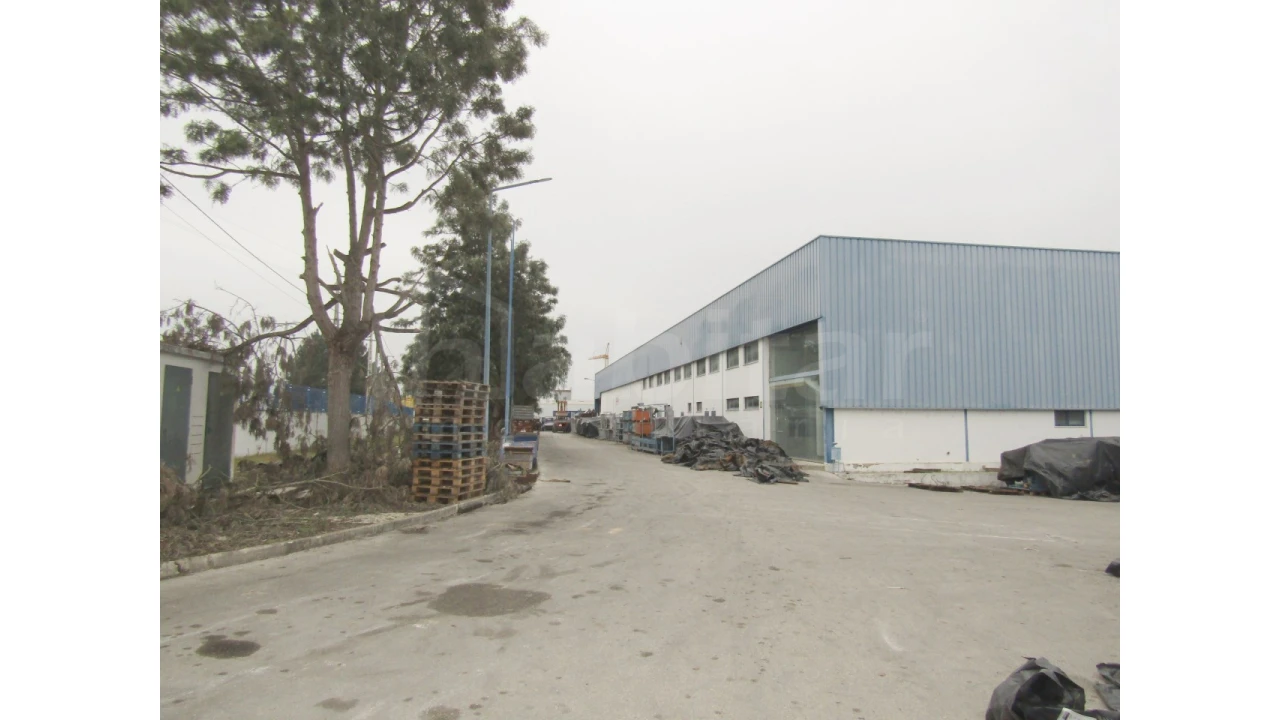 Armazém para Venda em Muge Foto 2