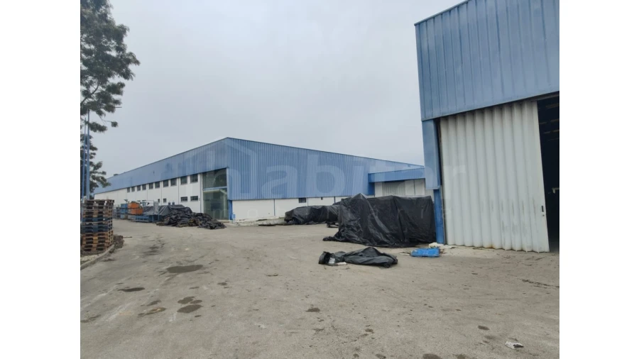 Armazém para Venda em Muge Foto 4