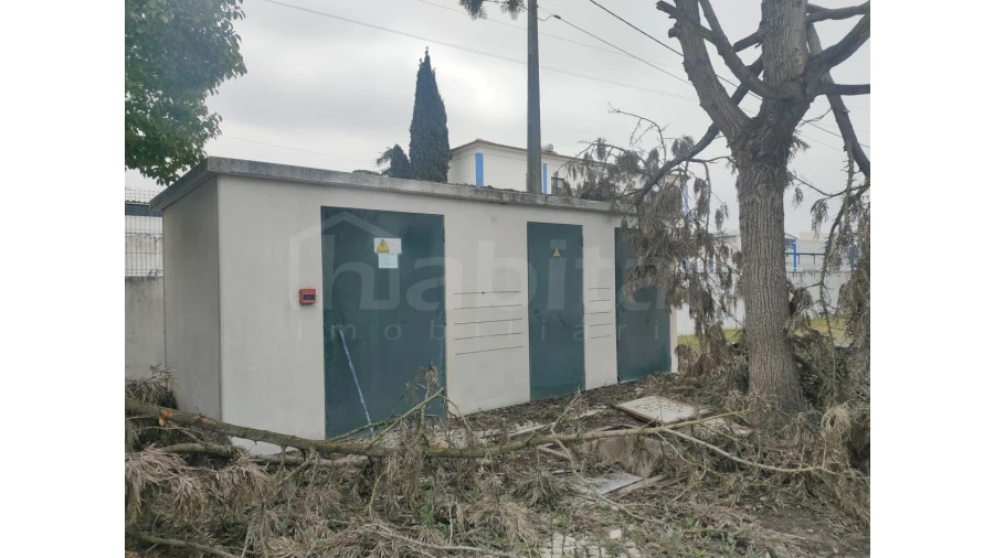 Armazém para Venda em Muge Foto 7