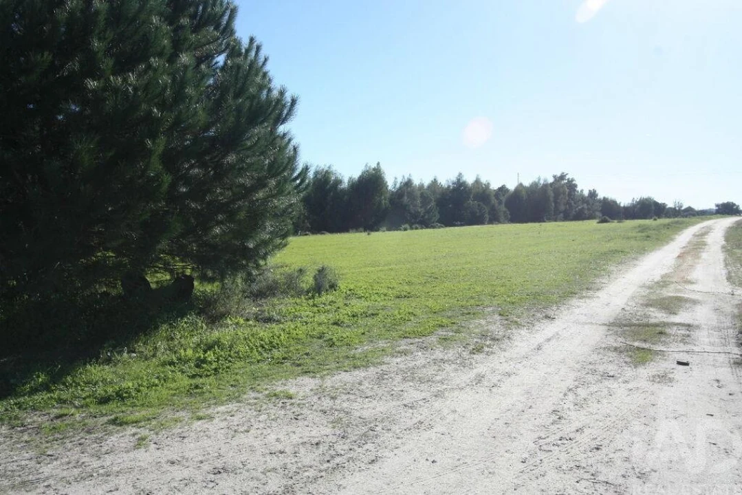 Terreno para Venda em Pegões Foto 19
