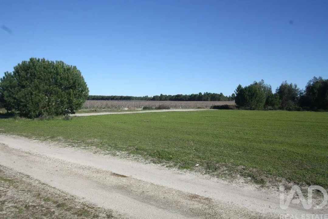 Terreno para Venda em Pegões Foto 18