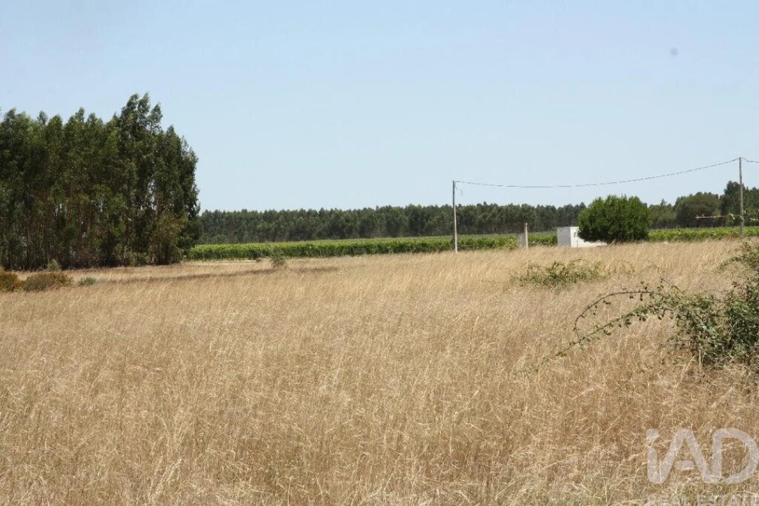 Terreno para Venda em Pegões Foto 16