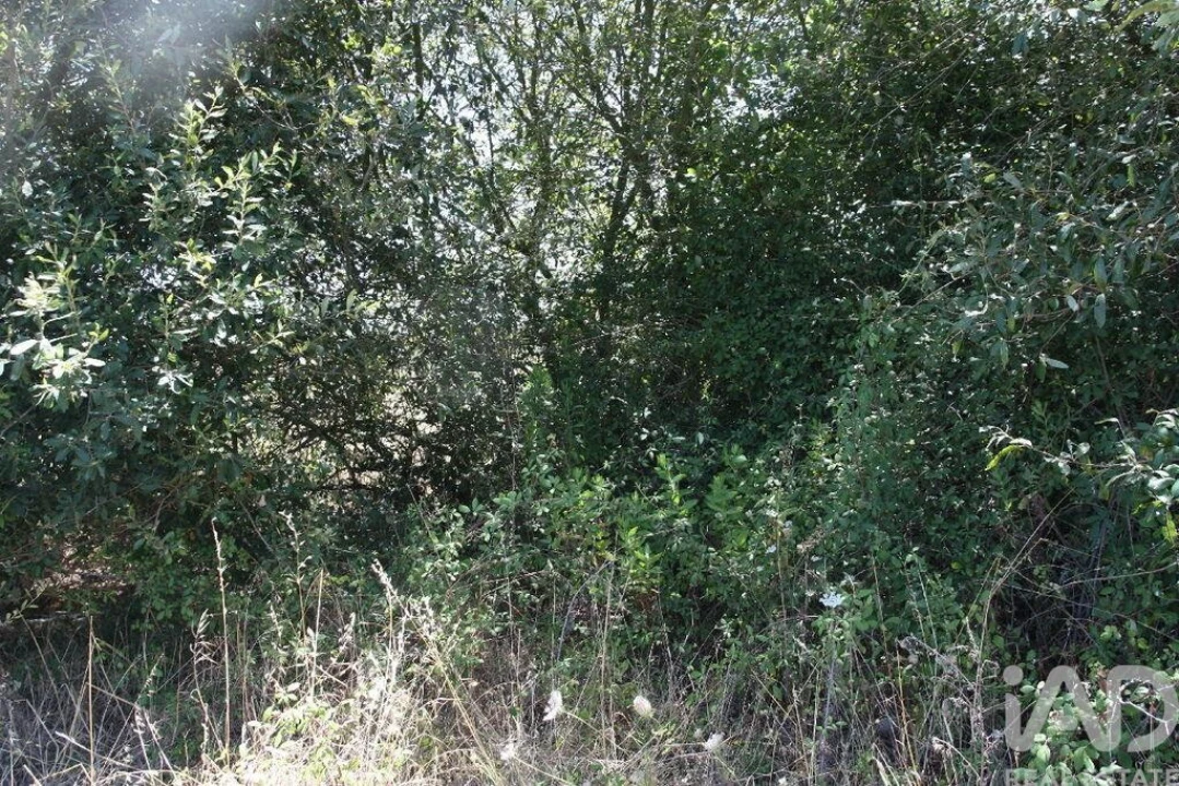 Terreno para Venda em Pegões Foto 22