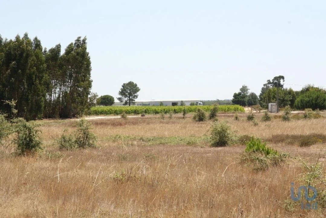 Terreno para Venda em Pegões Foto 15