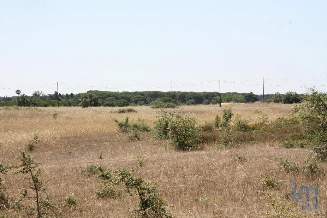 Terreno para Venda em Pegões Foto 4