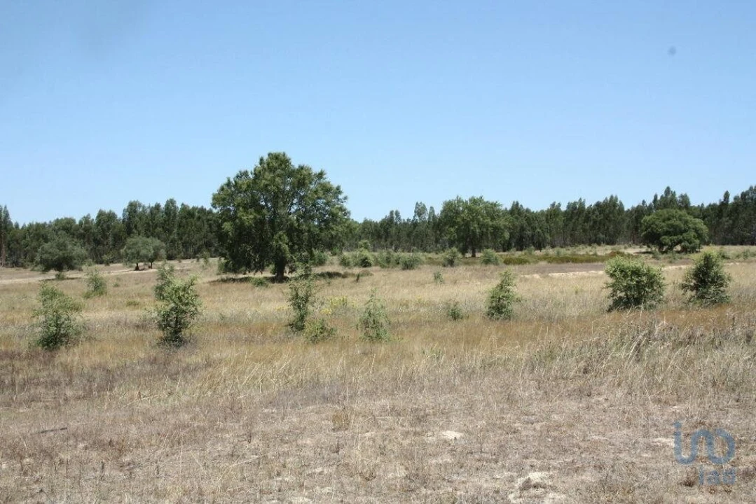 Terreno para Venda em Pegões Foto 10