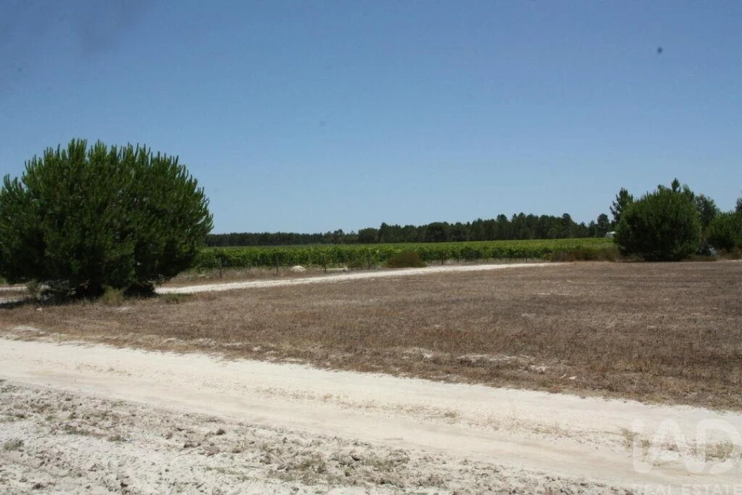 Terreno para Venda em Pegões Foto 17