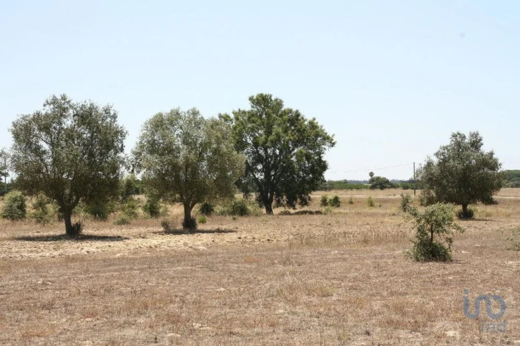 Terreno para Venda em Pegões Foto 6