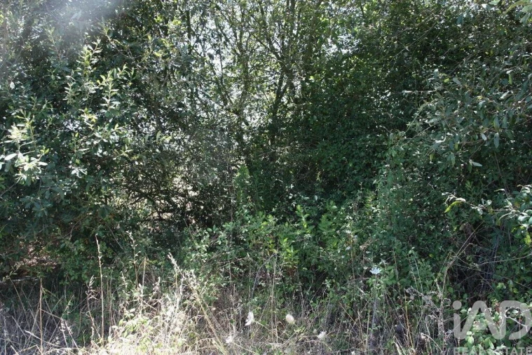 Terreno para Venda em Pegões Foto 22