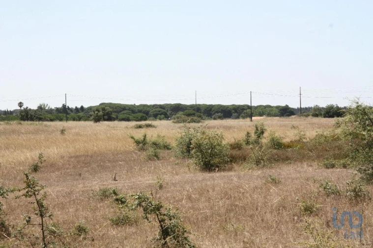 Terreno para Venda em Pegões Foto 4