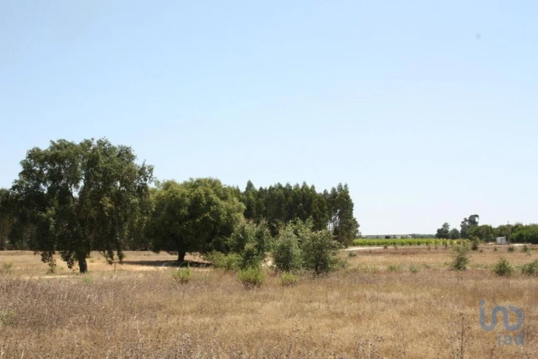 Terreno para Venda em Pegões Foto 13