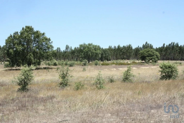 Terreno para Venda em Pegões Foto 11