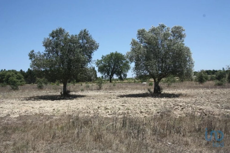 Terreno para Venda em Pegões Foto 9