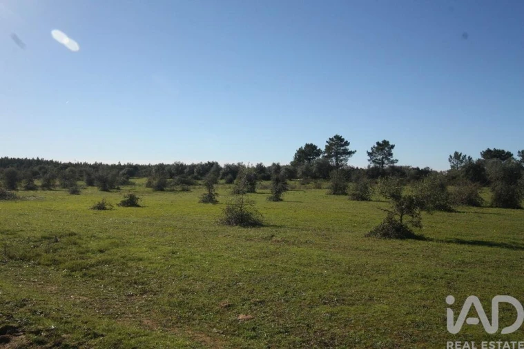 Terreno para Venda em Pegões Foto 21