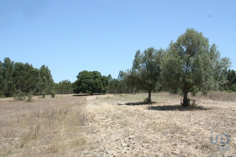 Terreno para Venda em Pegões Foto 7