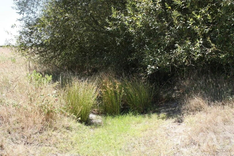 Terreno para Venda em Pegões Foto 24