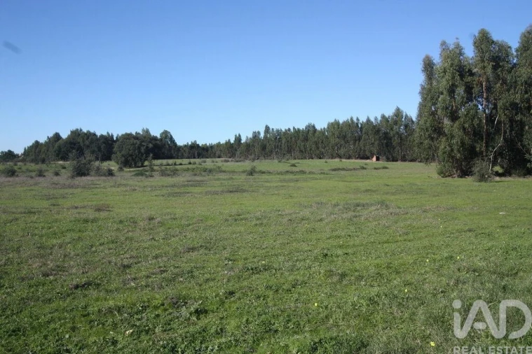 Terreno para Venda em Pegões Foto 20