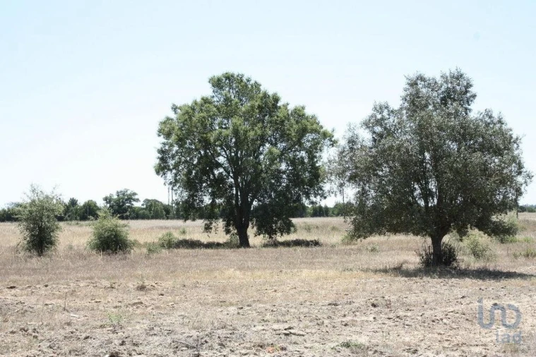 Terreno para Venda em Pegões Foto 8