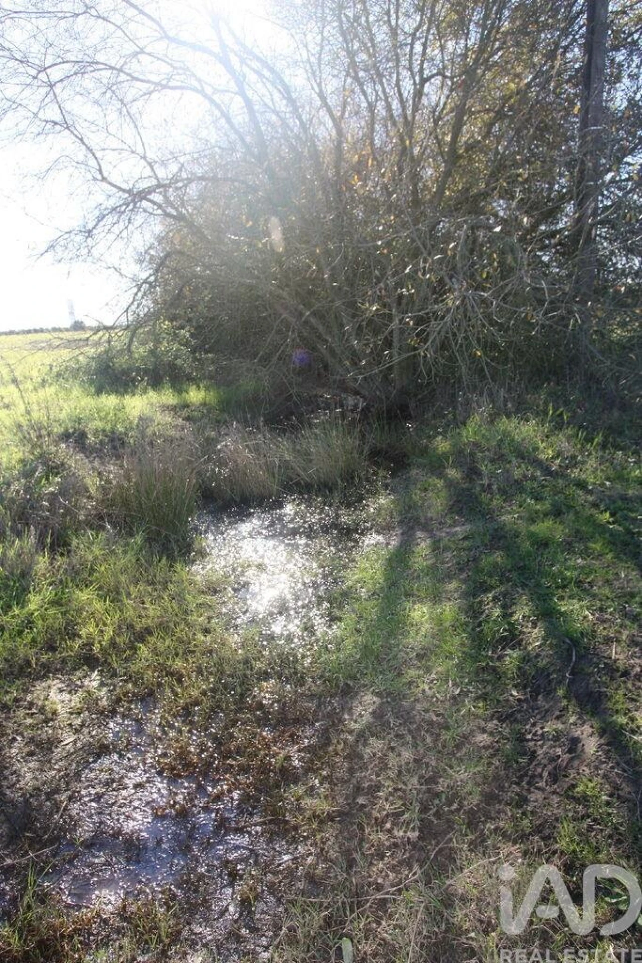 Terreno para Venda em Pegões Foto 25