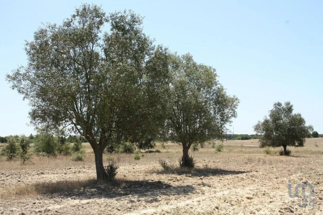 Terreno para Venda em Pegões Foto 5