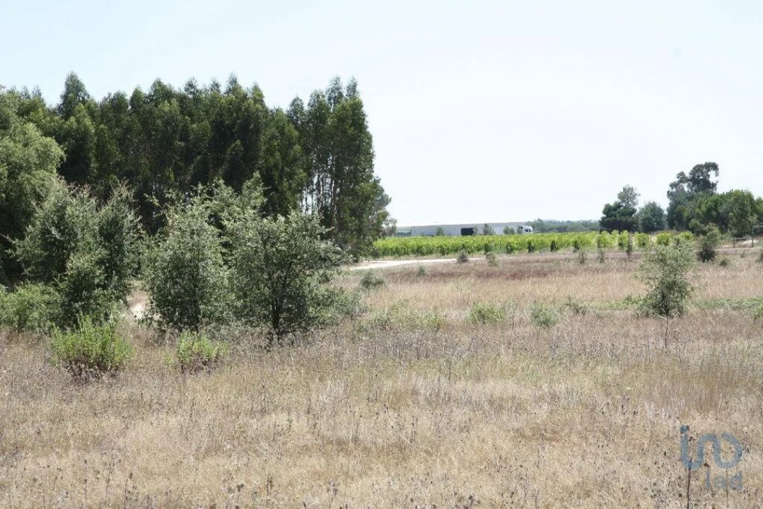 Terreno para Venda em Pegões Foto 14
