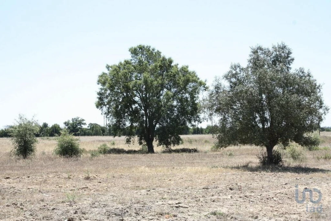 Terreno para Venda em Pegões Foto 8