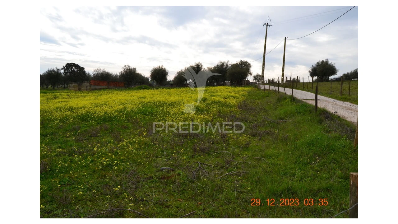 Terreno para Venda em Ciladas Foto 8